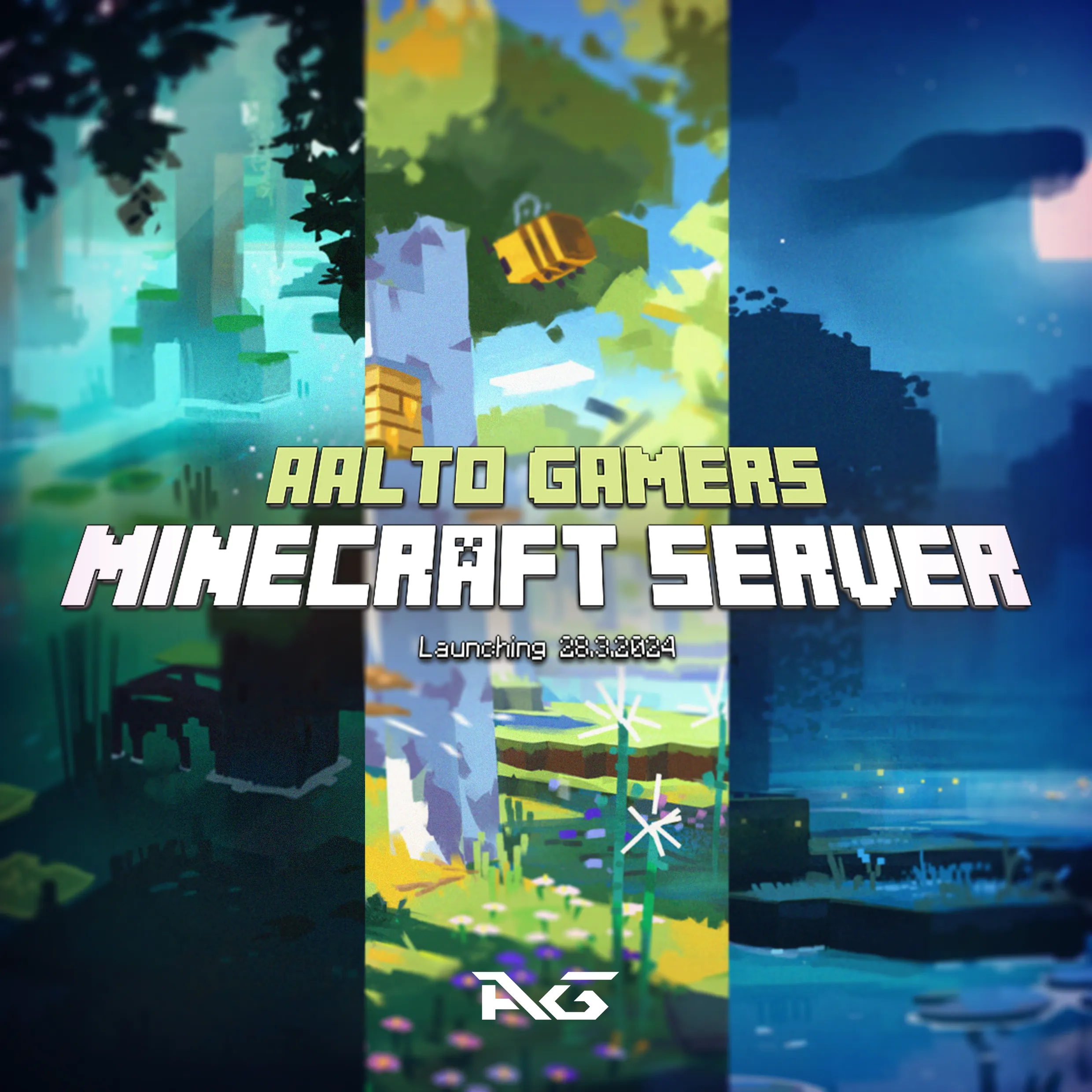 AG Minecraft Server